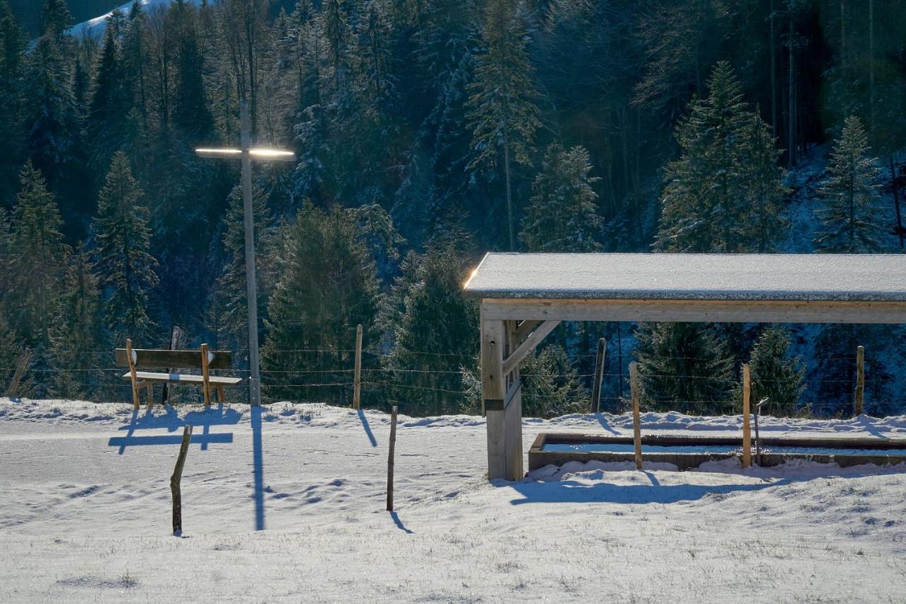 Unser Vorsaess - Geisskopf Шварценберґ-ім-Бреґенцервальд Екстер'єр фото